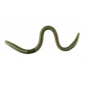 Worms (16)